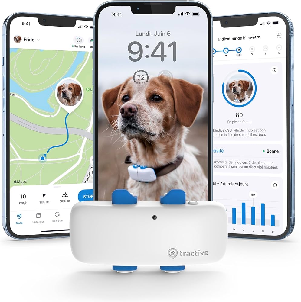 tracker gps chien tendance epic