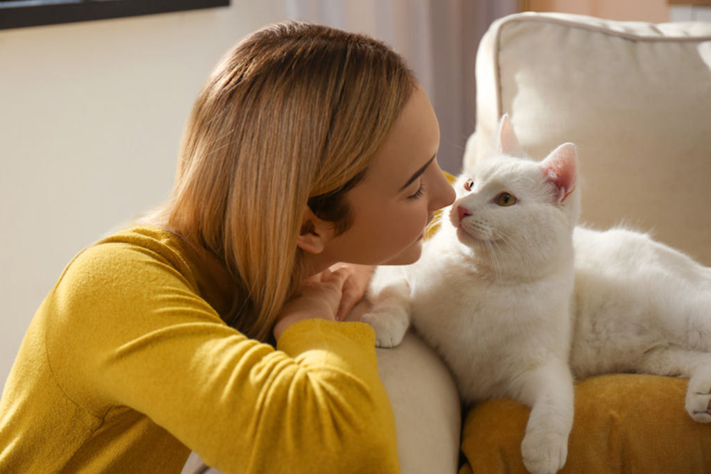 amour-chat