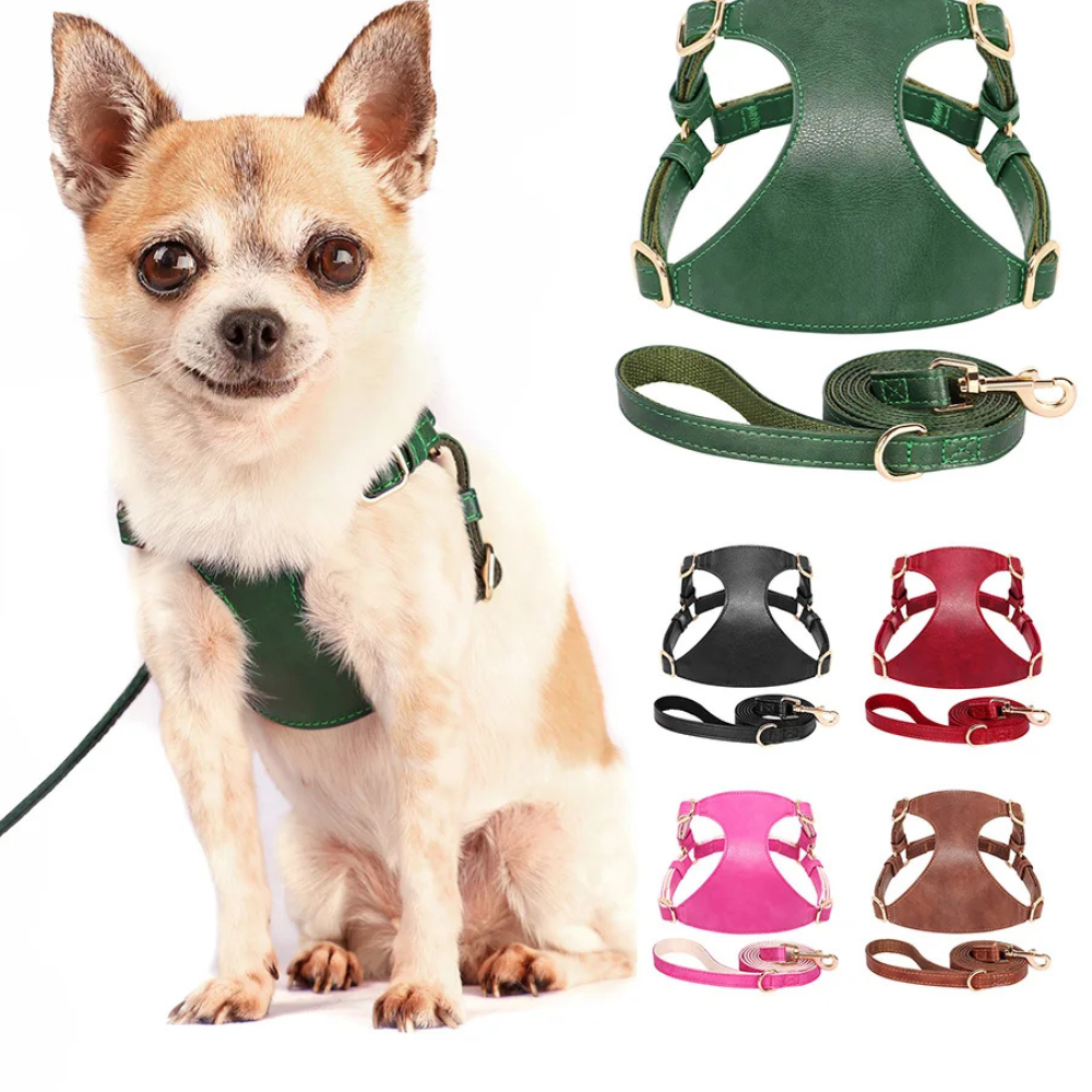 Harnais pour chien en Cuir et Laisse