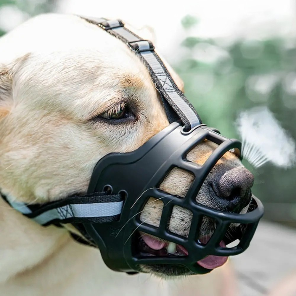Protection Bucco-Dentaire Anti-Morsure pour Chien