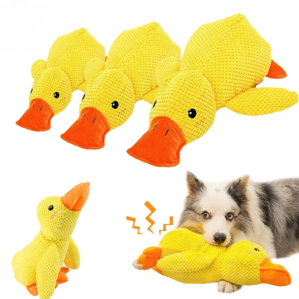 Jouets en peluche Canard Calmant pour chien