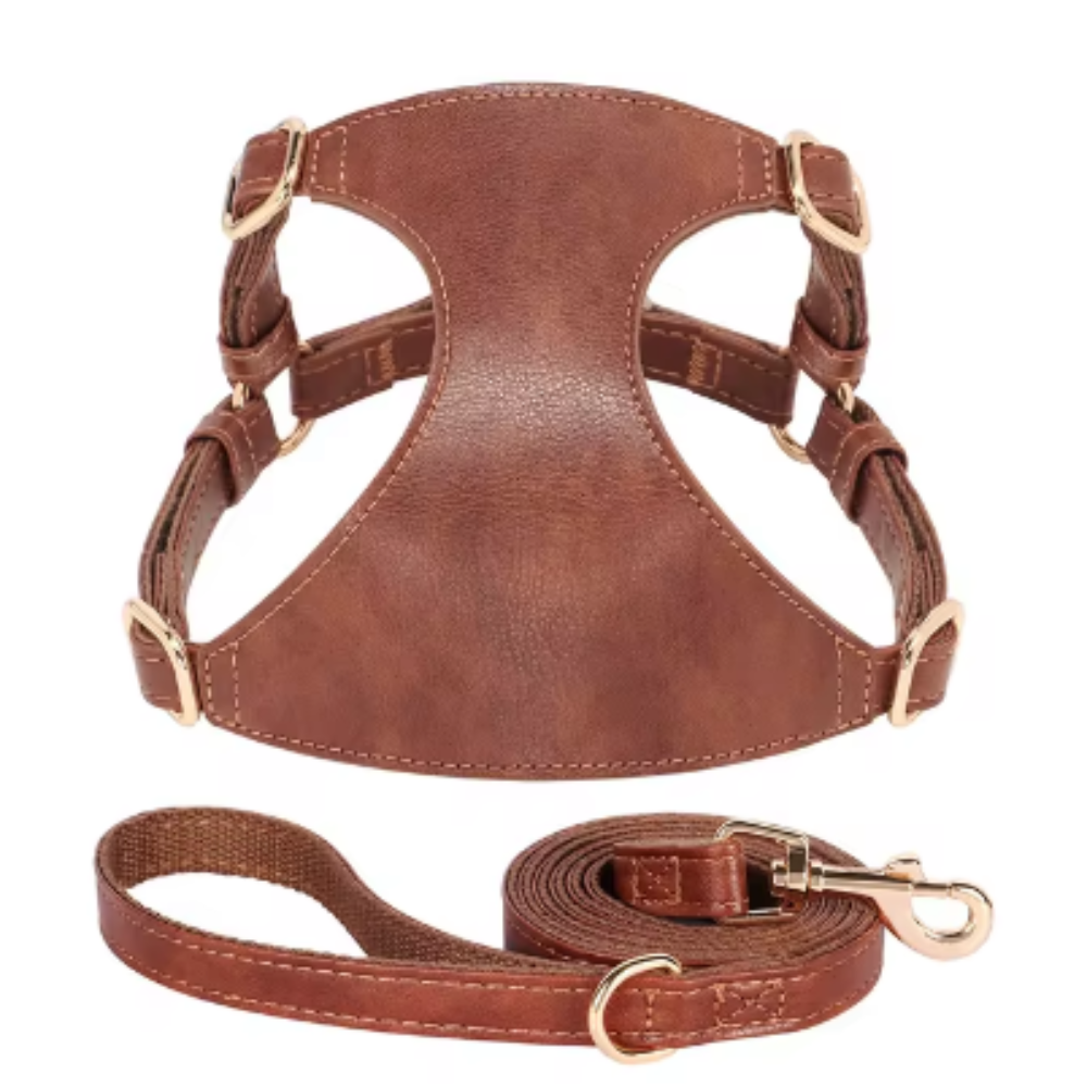 Harnais pour chien en Cuir et Laisse
