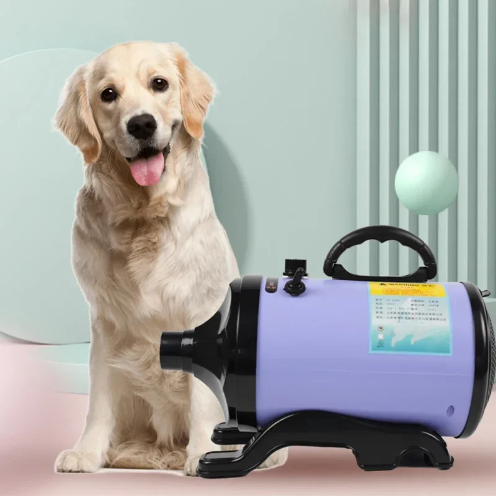 Séchoir professionnel pour le toilettage des animaux
