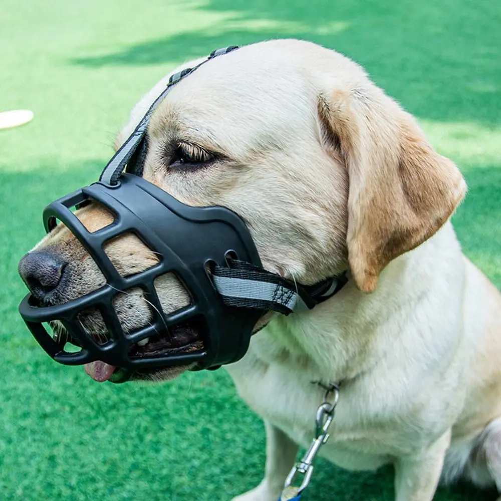 Protection Bucco-Dentaire Anti-Morsure pour Chien