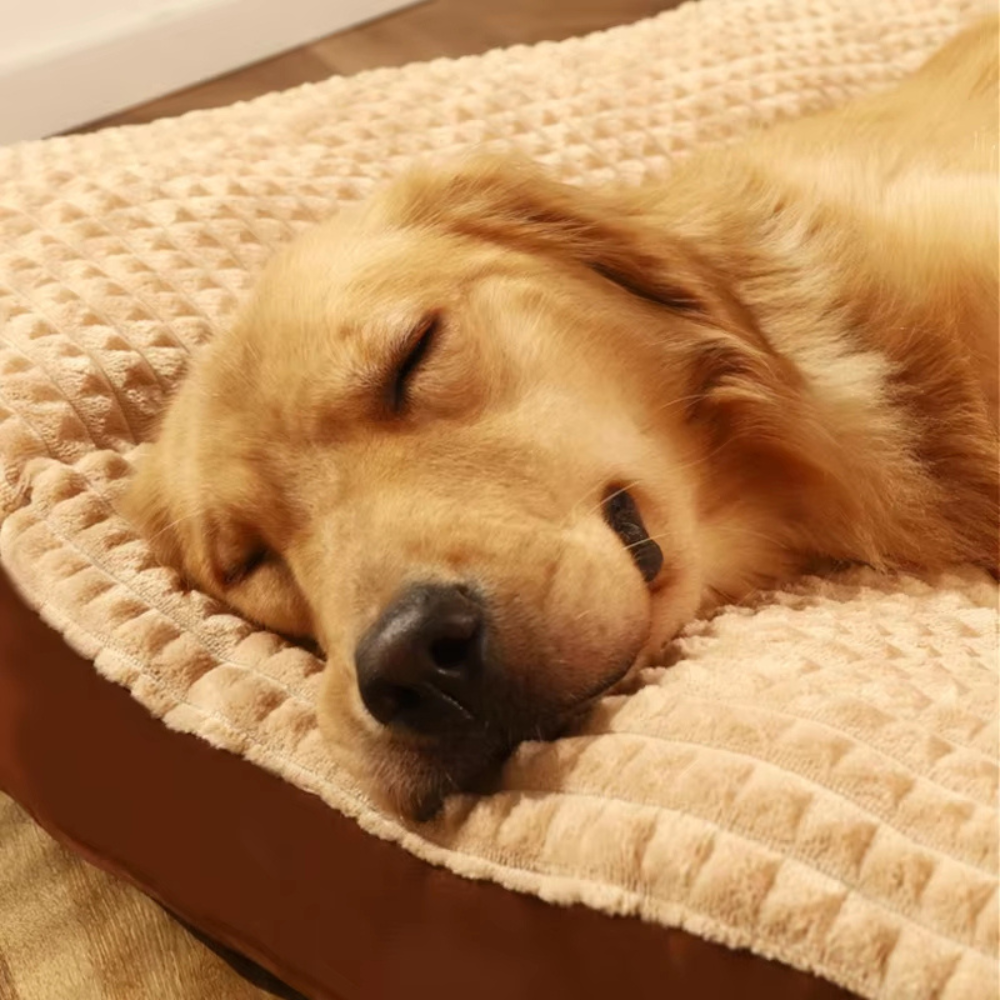 Tapis de couchage douillet pour petits et grands chiens et chiots