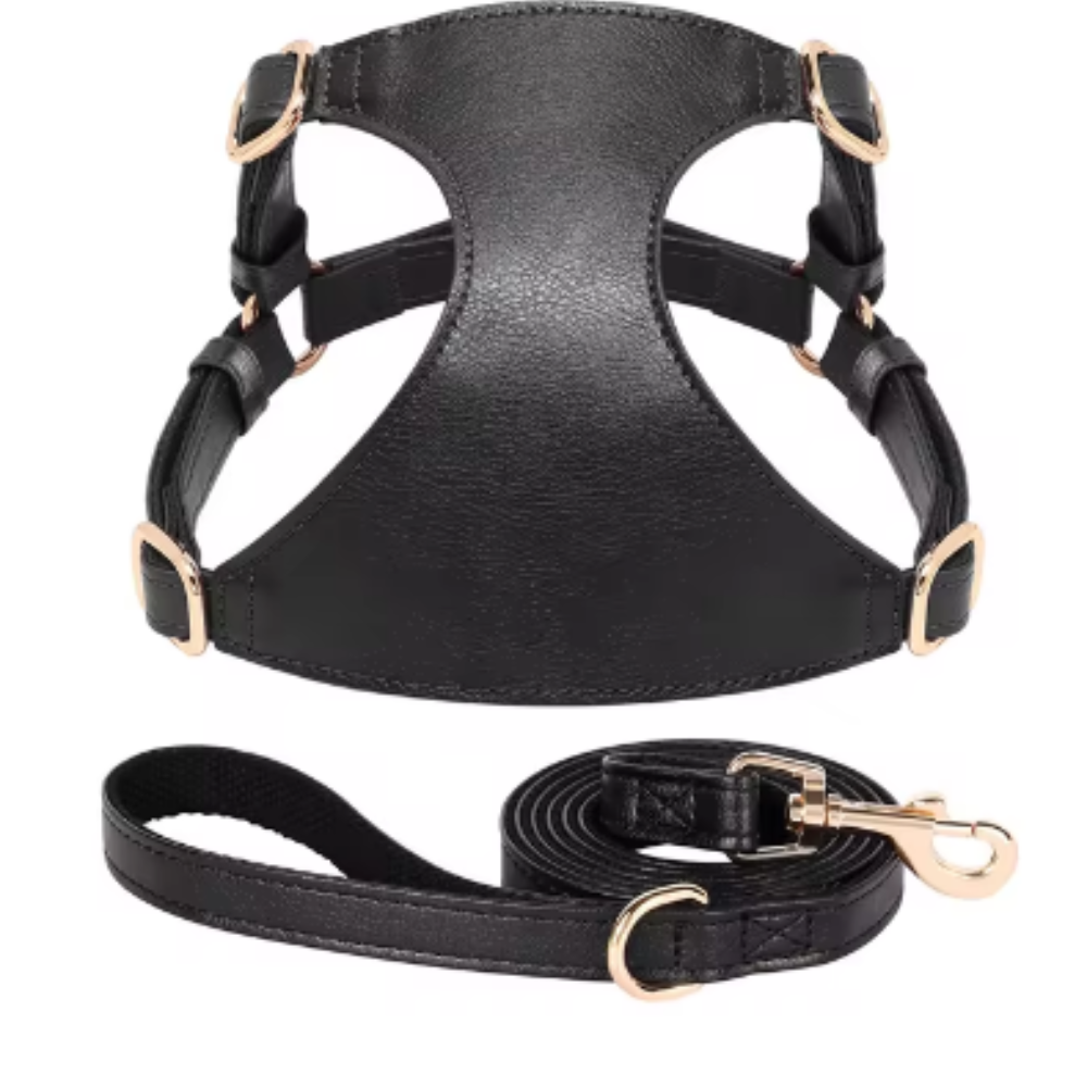 Harnais pour chien en Cuir et Laisse