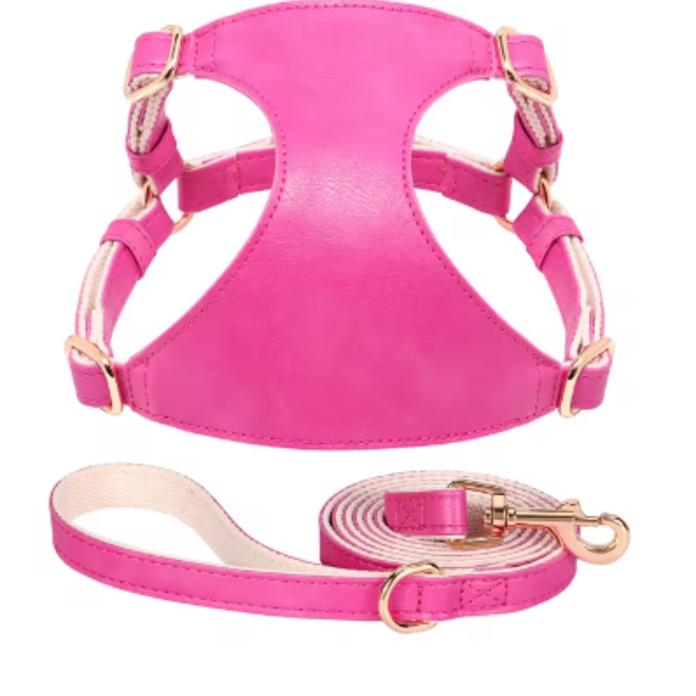 Harnais pour chien en Cuir et Laisse