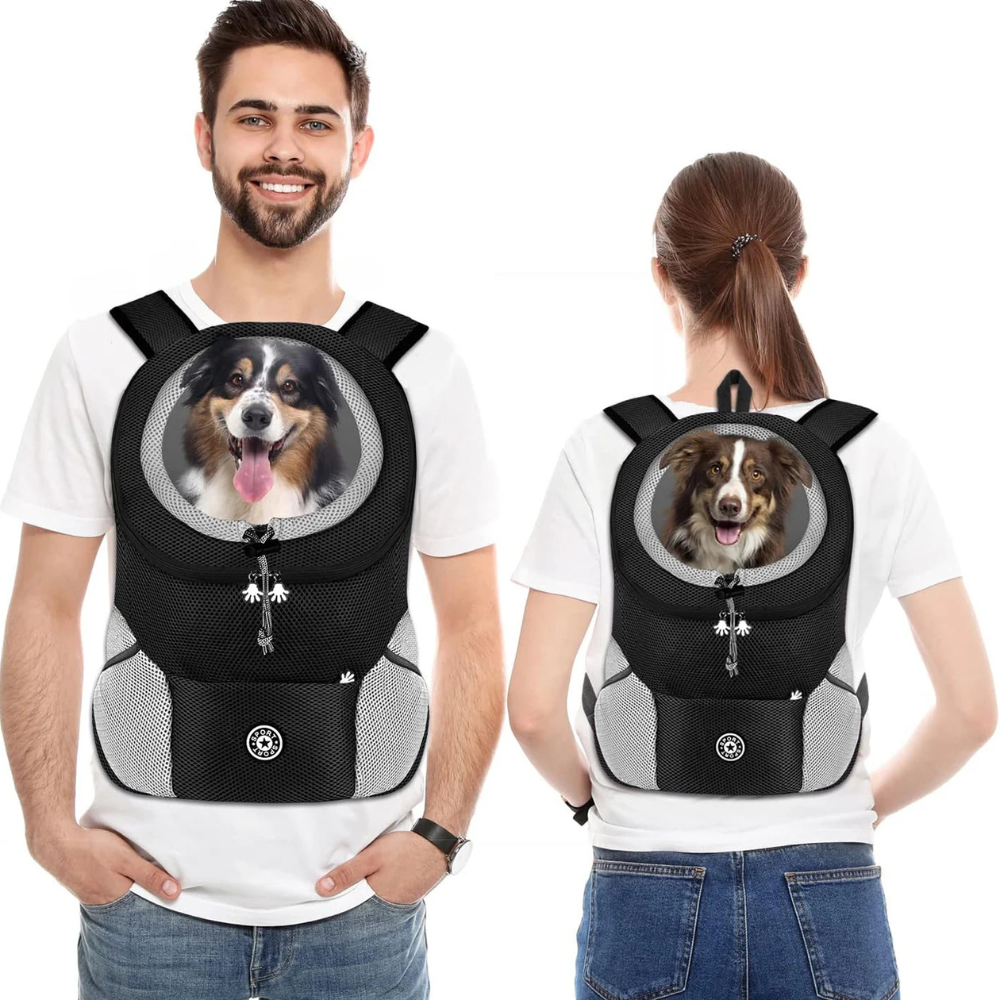 Sac à Dos de Voyage pour Petit Chien et Chat