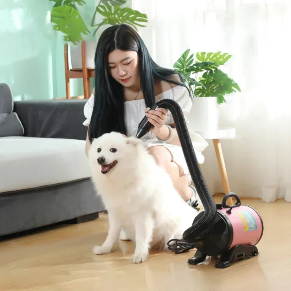 Séchoir professionnel pour le toilettage des animaux