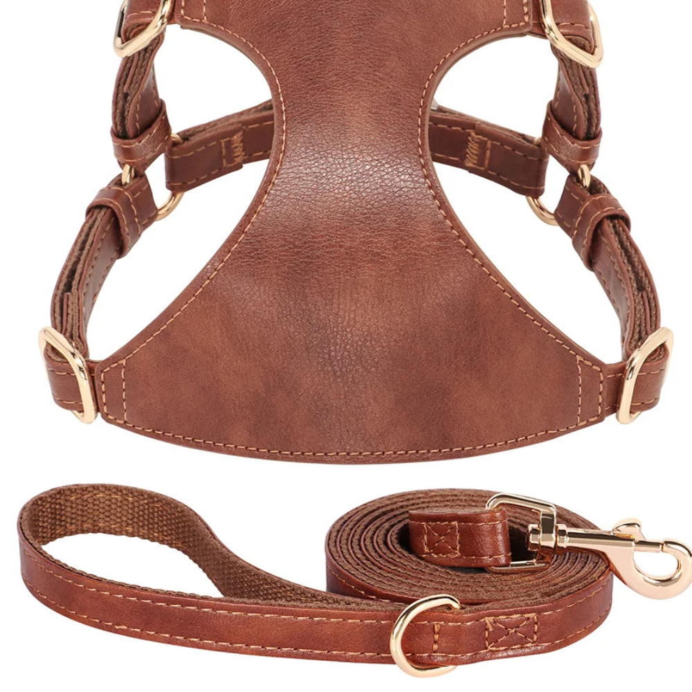 Harnais pour chien en Cuir et Laisse