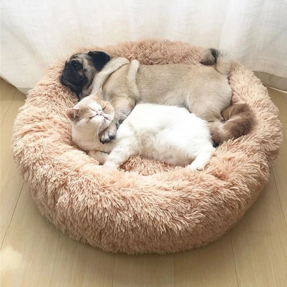 Lit Douillet pour Chiens et Chats