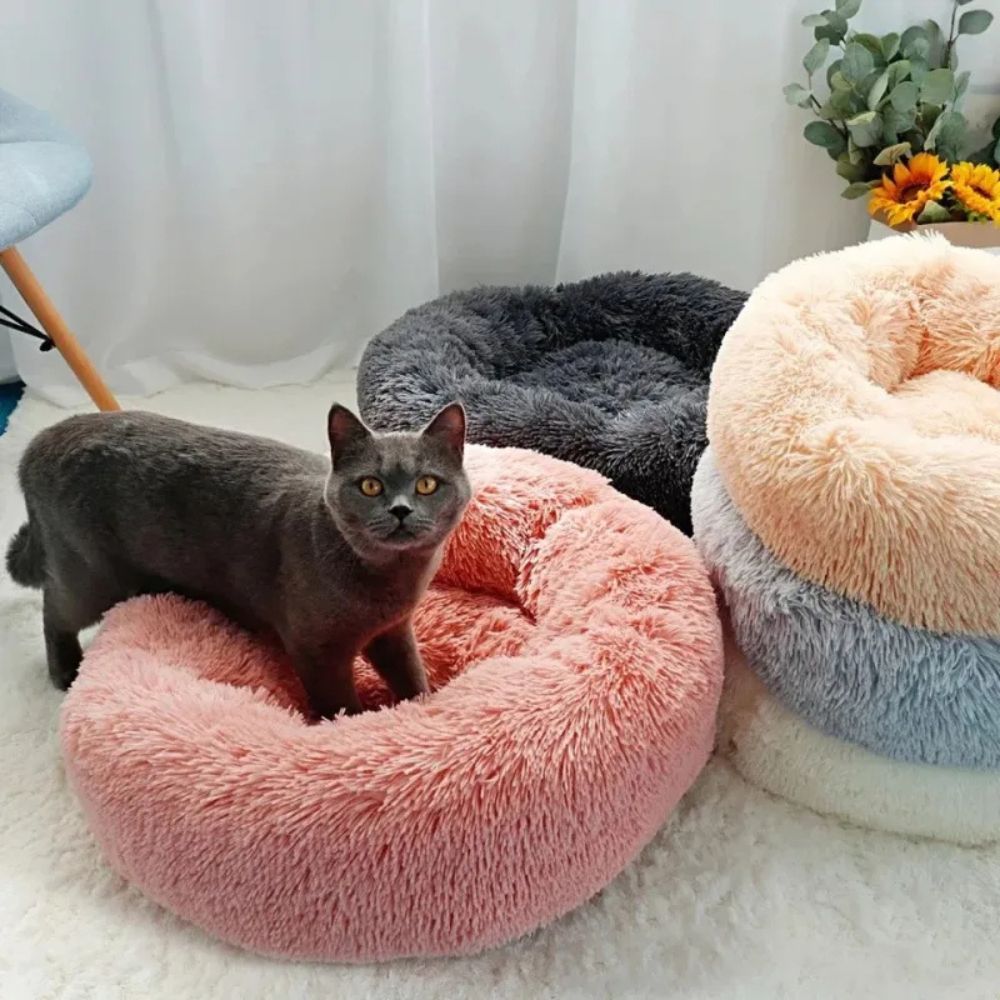 Lit Douillet pour Chiens et Chats