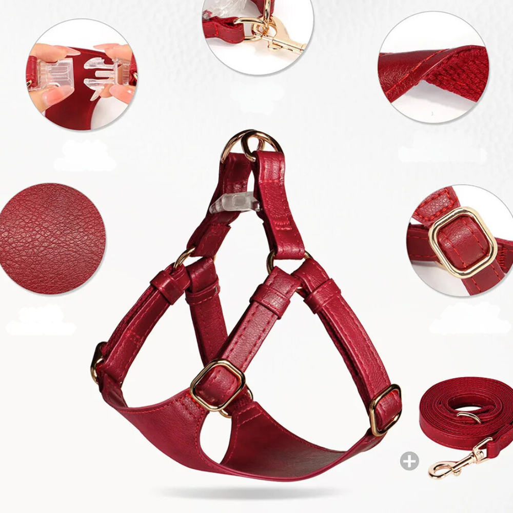 Harnais pour chien en Cuir et Laisse