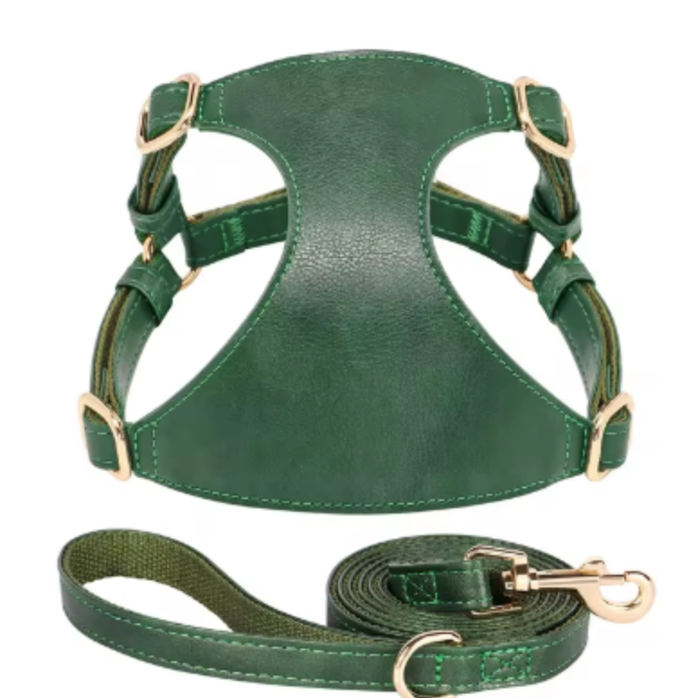 Harnais pour chien en Cuir et Laisse