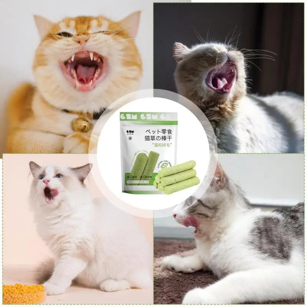 Bâtons à mâcher Natural Cats Grass
