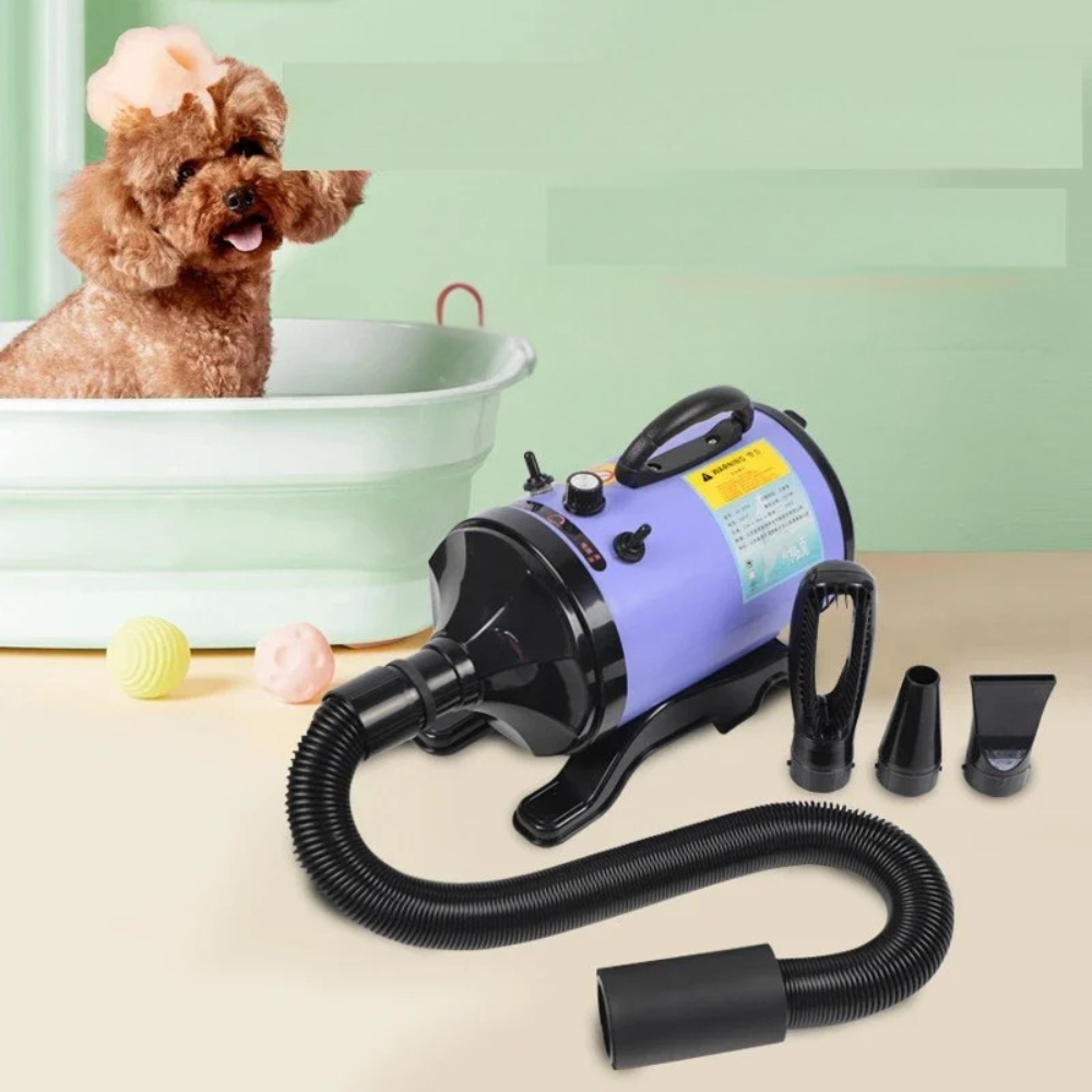 Séchoir professionnel pour le toilettage des animaux
