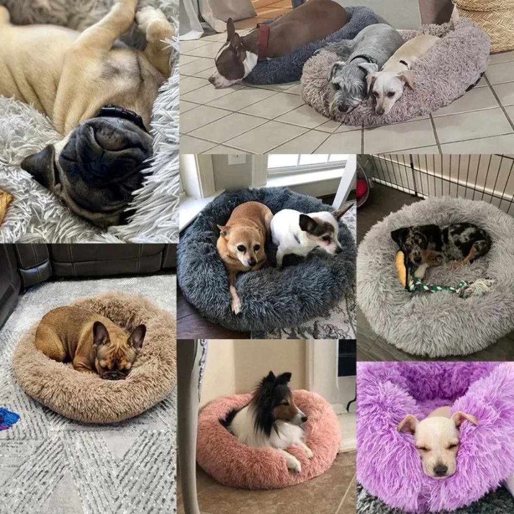 Lit Douillet pour Chiens et Chats