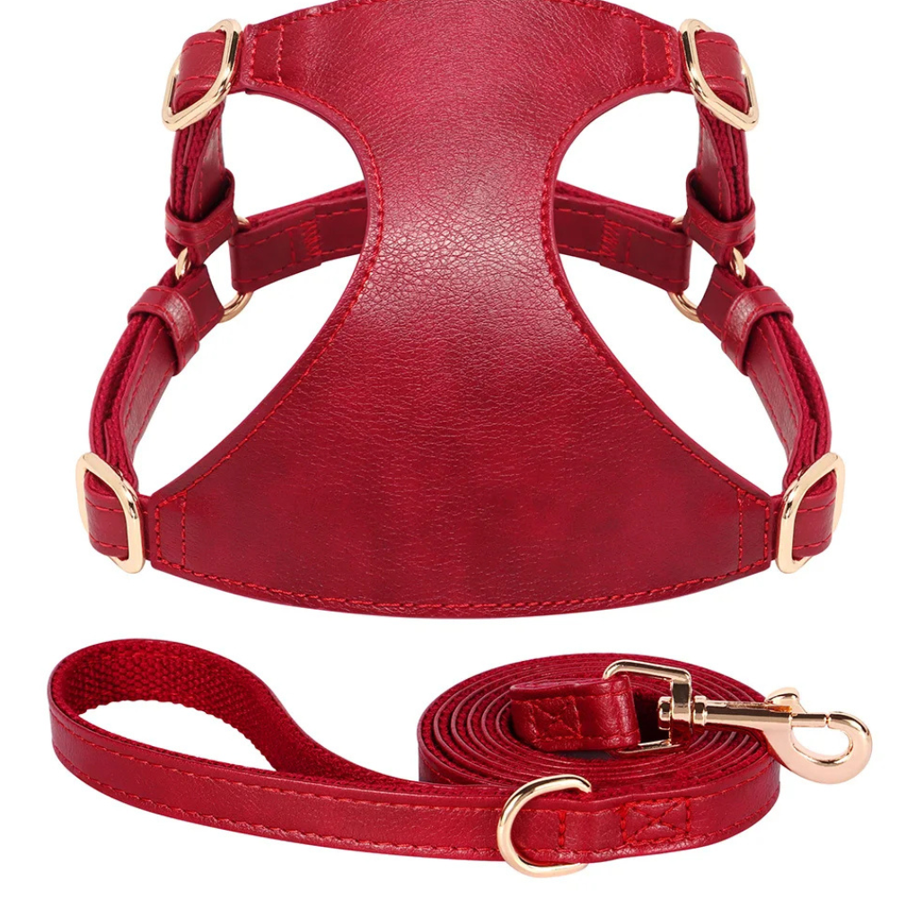 Harnais pour chien en Cuir et Laisse