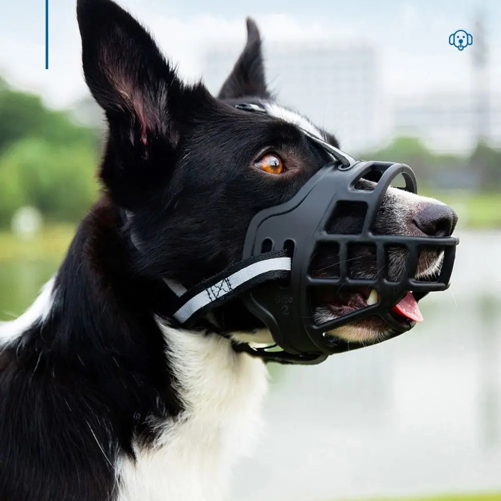 Protection Bucco-Dentaire Anti-Morsure pour Chien