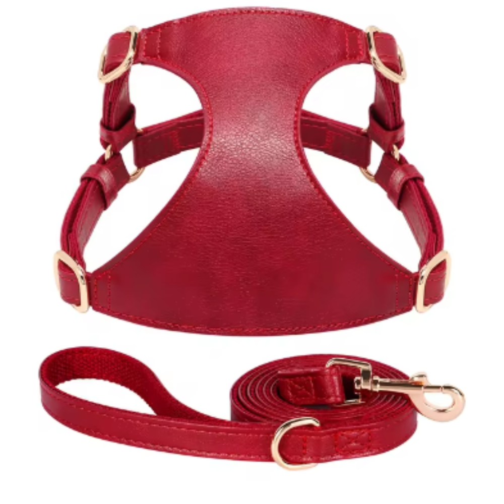 Harnais pour chien en Cuir et Laisse
