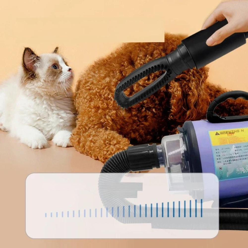 Séchoir professionnel pour le toilettage des animaux