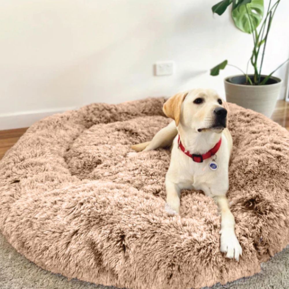 Lit Douillet pour Chiens et Chats