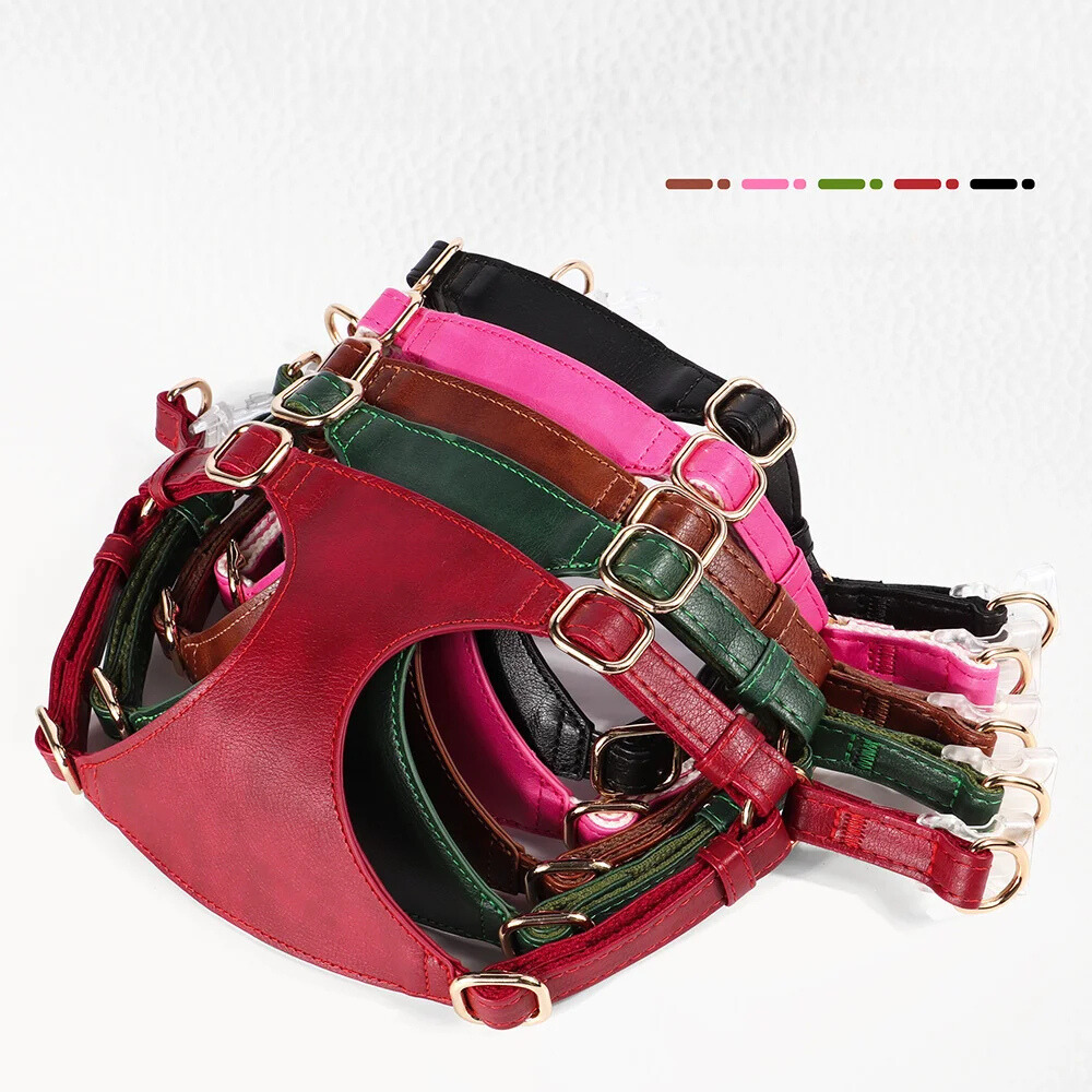 Harnais pour chien en Cuir et Laisse