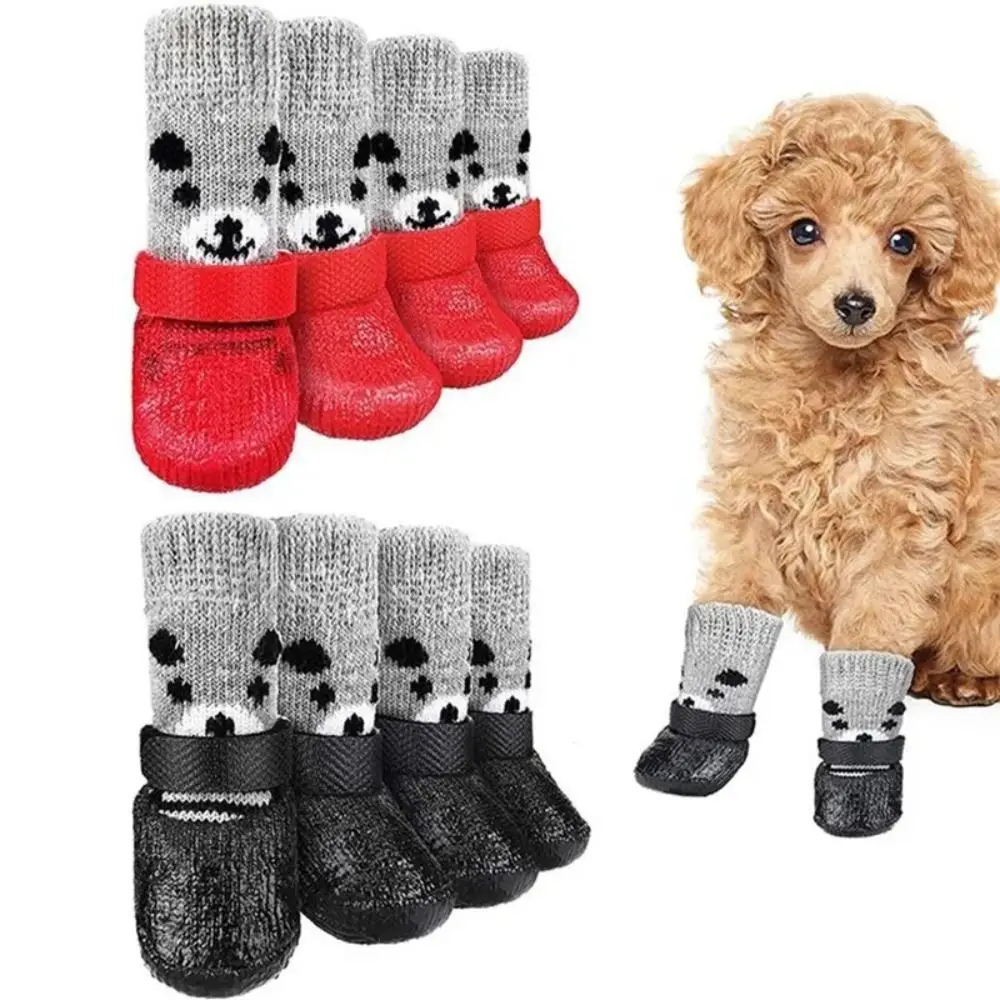 Chaussures pour chiens chaussettes
