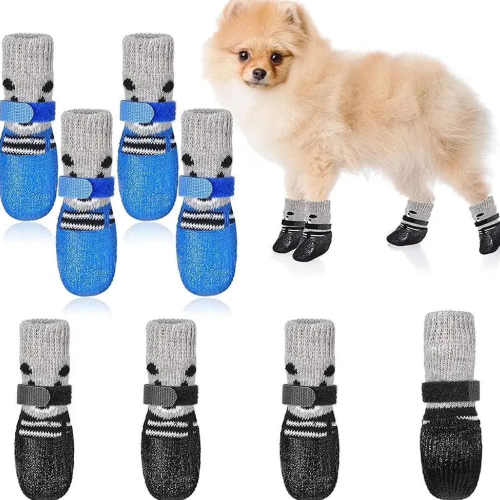 Chaussures pour chiens chaussettes