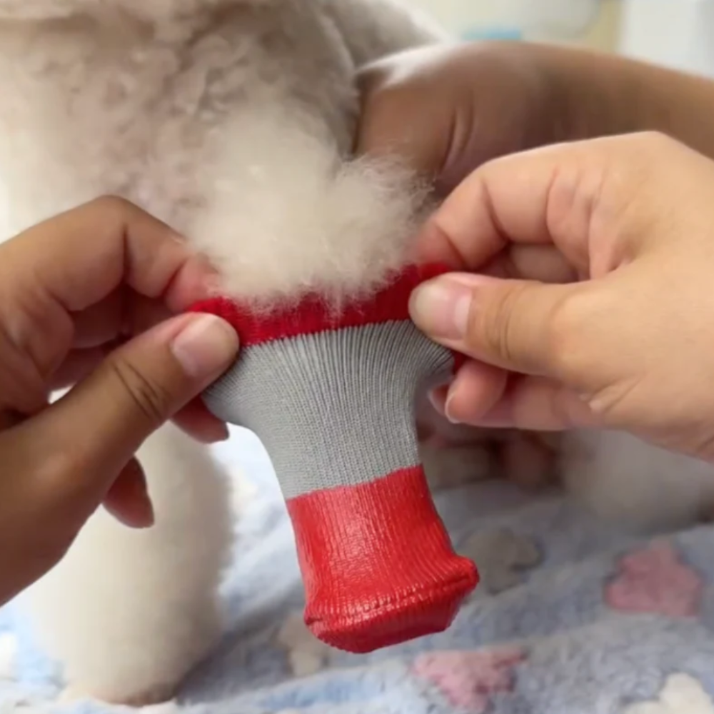 Chaussures pour chiens chaussettes