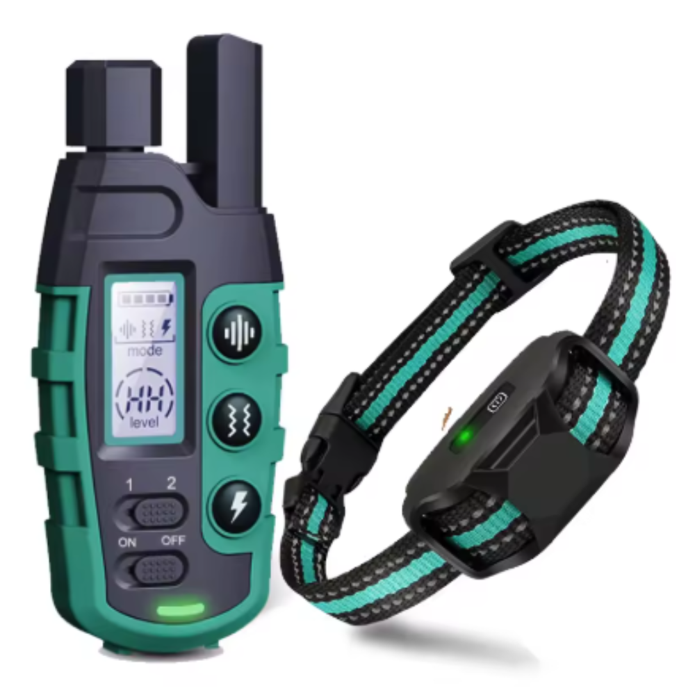 Collier de dressage électrique pour chien avec télécommande