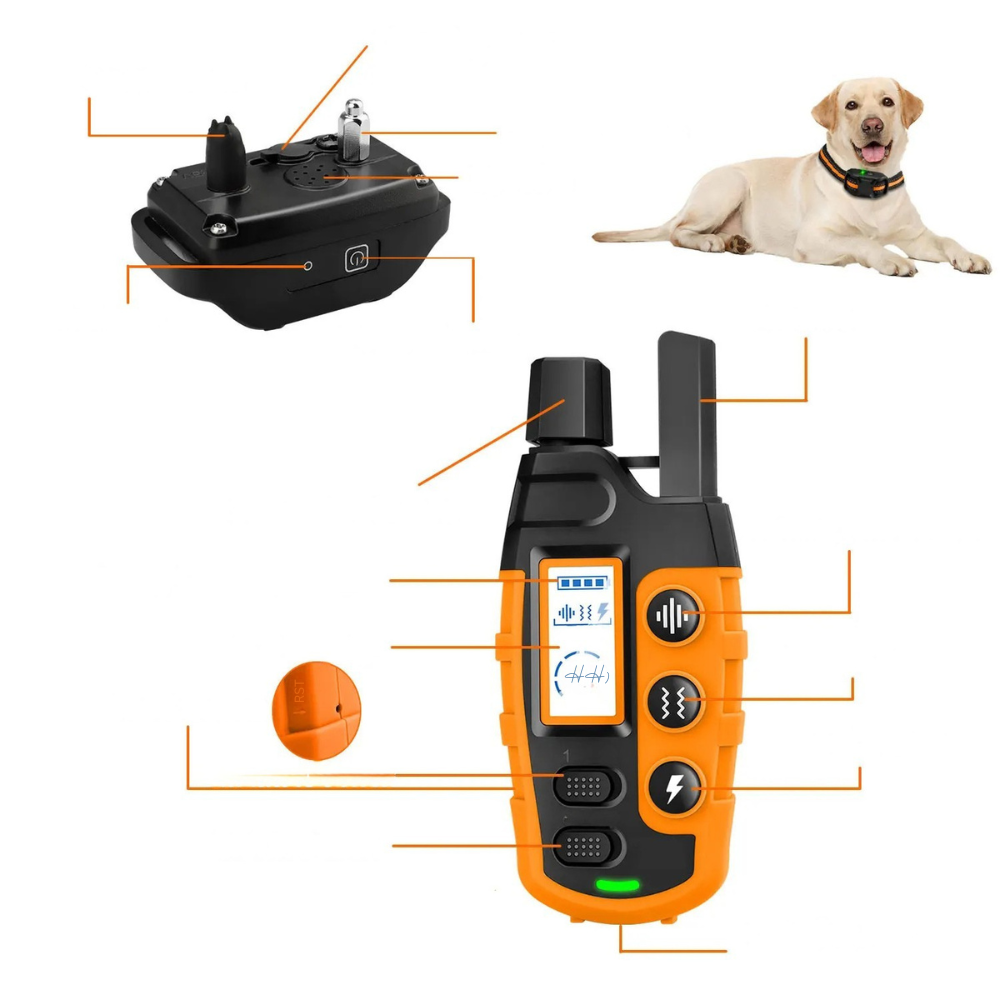 Collier de dressage électrique pour chien avec télécommande