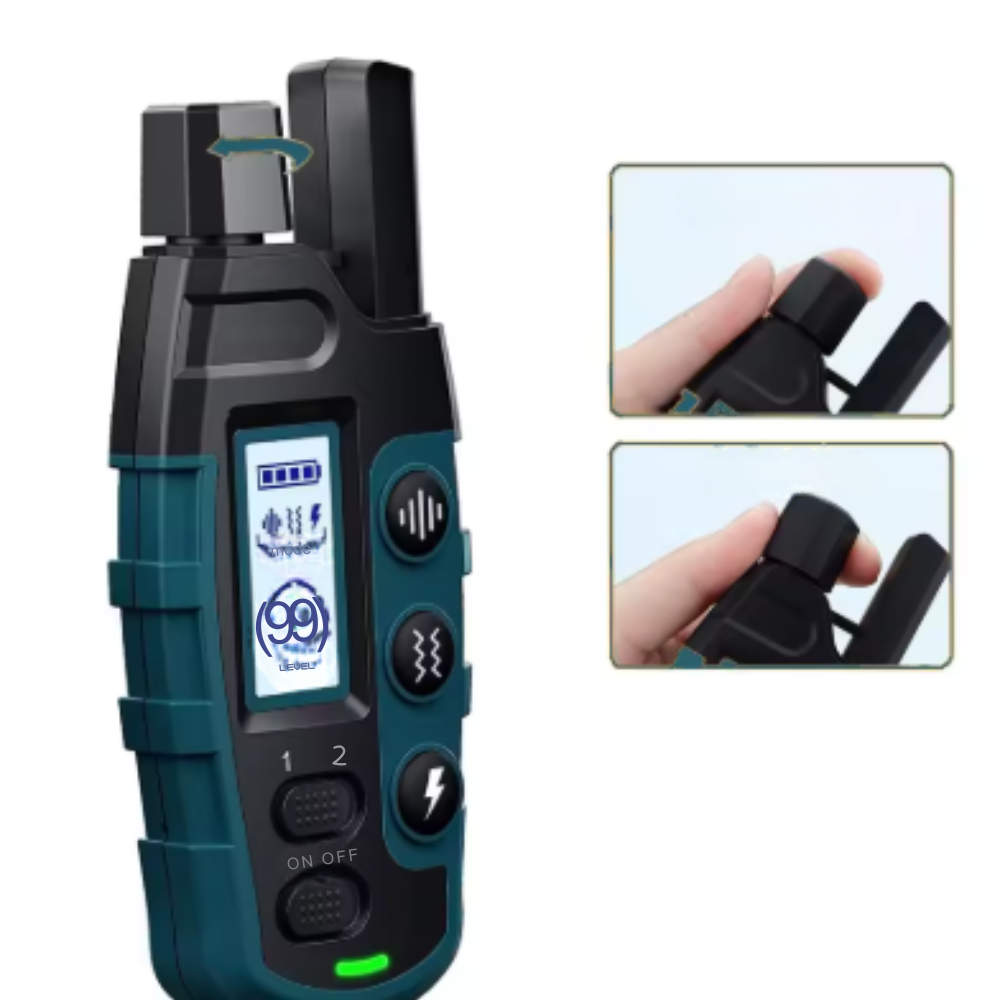 Collier de dressage électrique pour chien avec télécommande