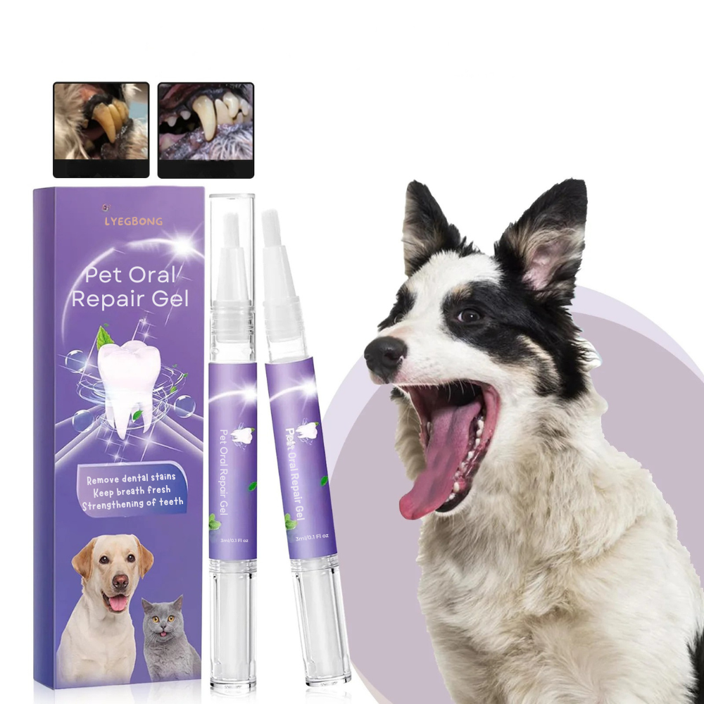 Gel de réparation bucco-dentaire pour animaux de compagnie