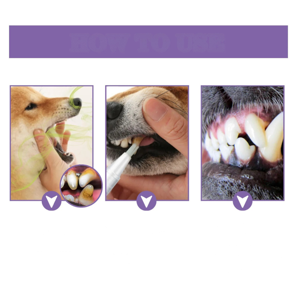 Gel de réparation bucco-dentaire pour animaux de compagnie