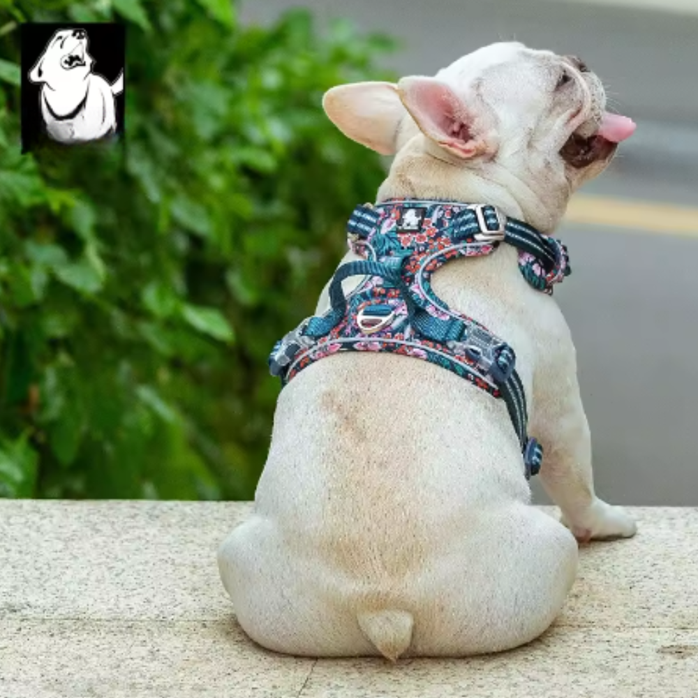 Harnais réglable pour chien