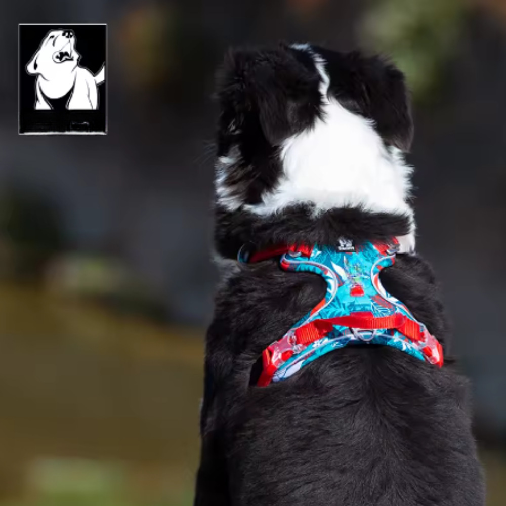 Harnais réglable pour chien