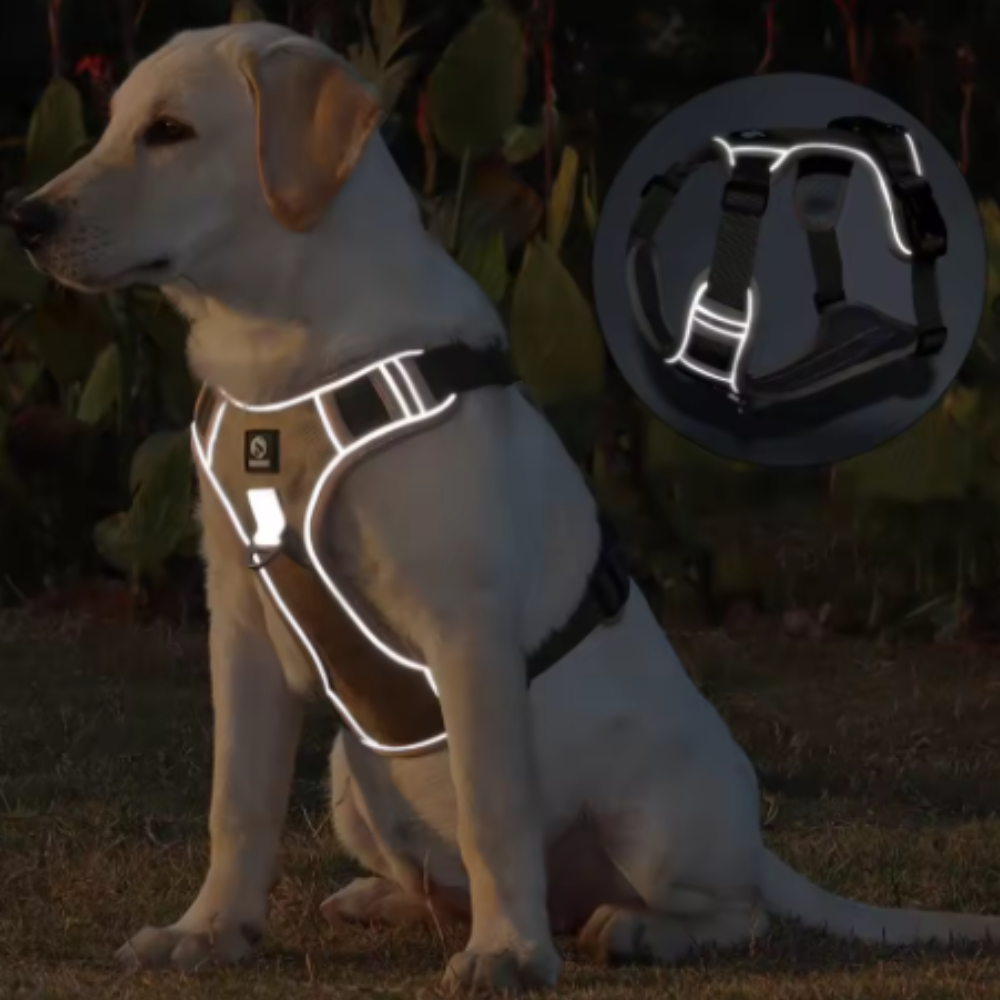 Harnais tactique réfléchissant pour chien