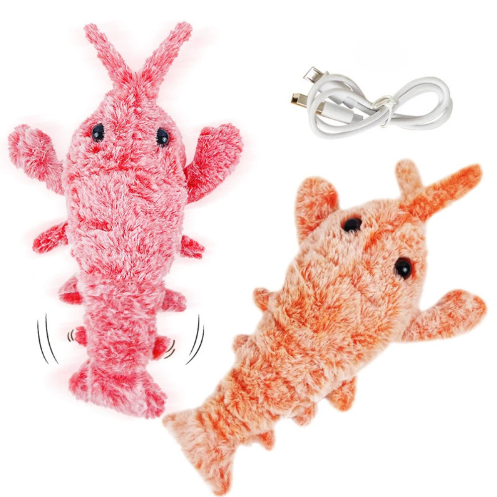 Jouets électriques pour animaux de compagnie