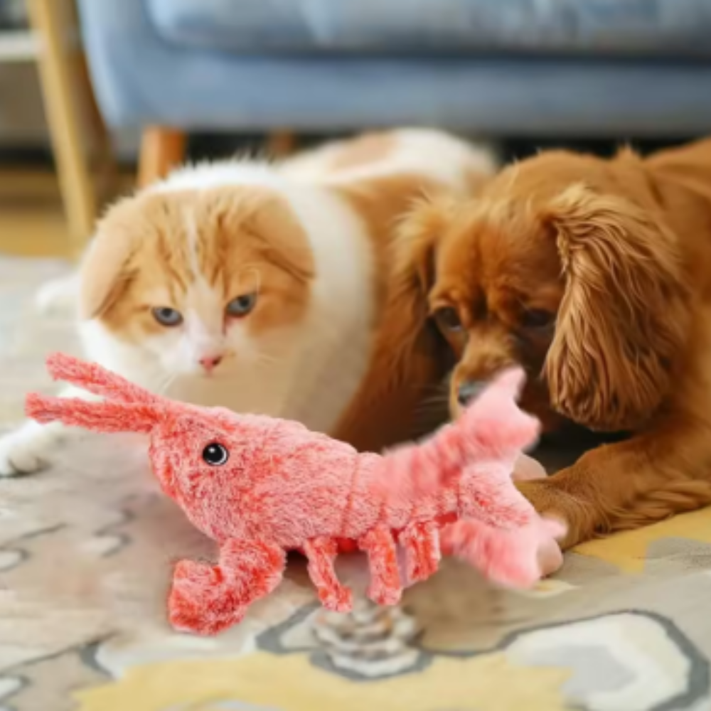 Jouets électriques pour animaux de compagnie