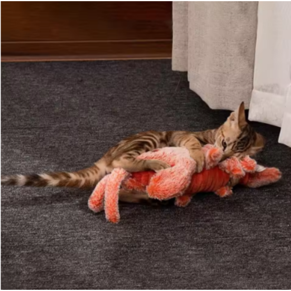 Jouets électriques pour animaux de compagnie