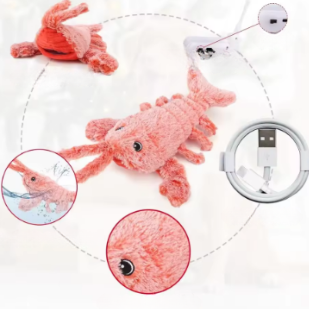 Jouets électriques pour animaux de compagnie