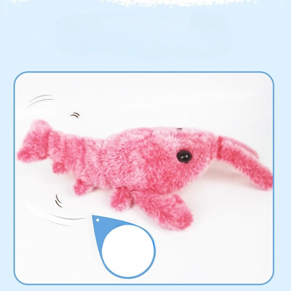 Jouets électriques pour animaux de compagnie