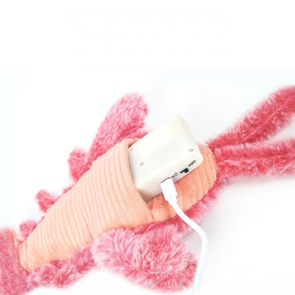 Jouets électriques pour animaux de compagnie