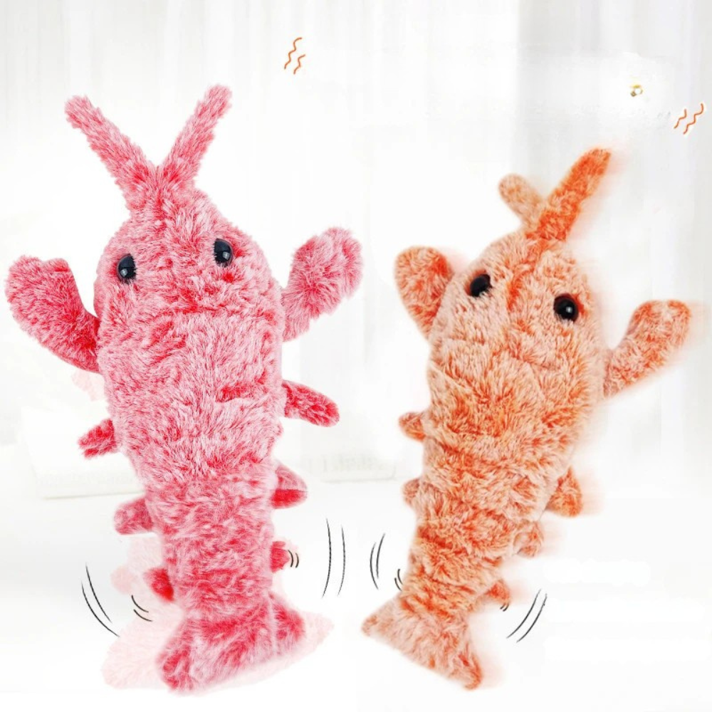 Jouets électriques pour animaux de compagnie
