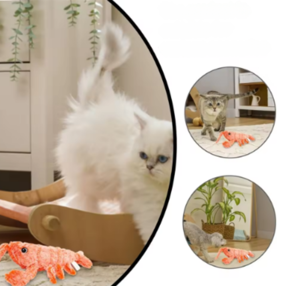 Jouets électriques pour animaux de compagnie