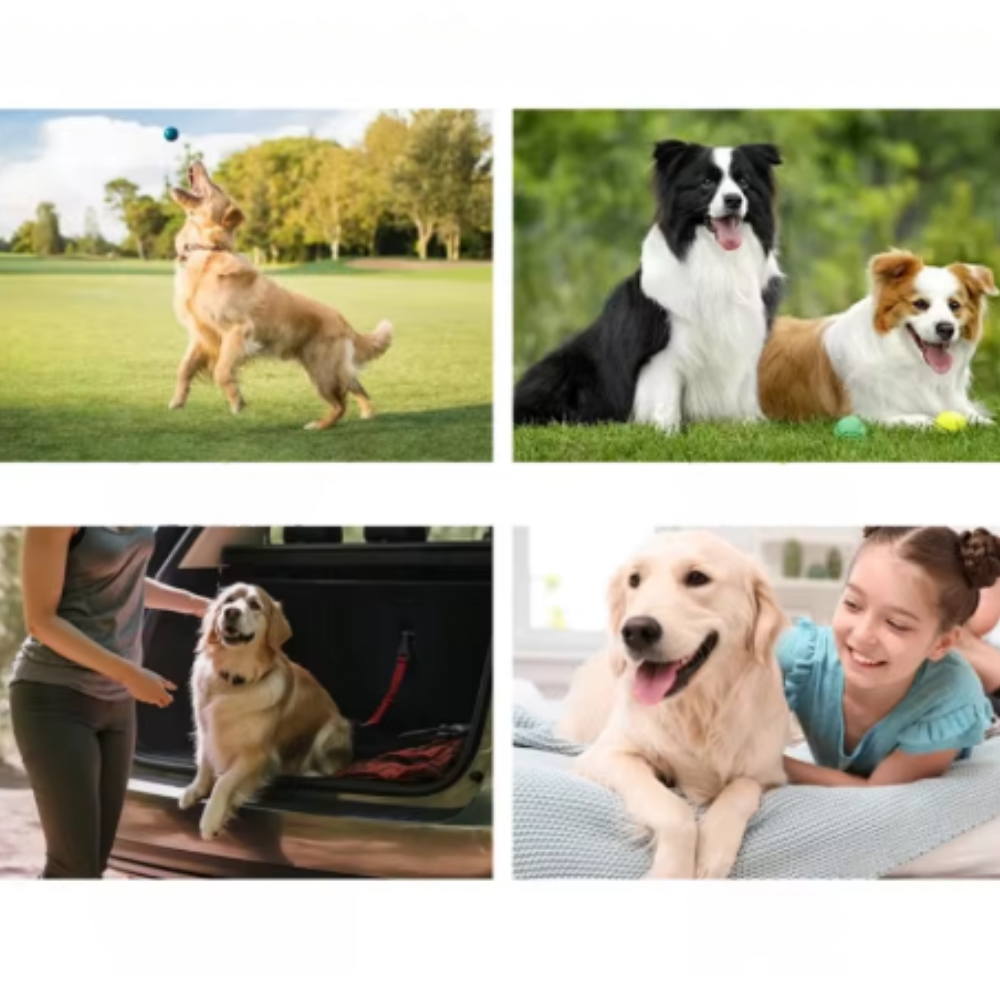 Lingettes Nettoyantes pour Oreilles d'Animaux