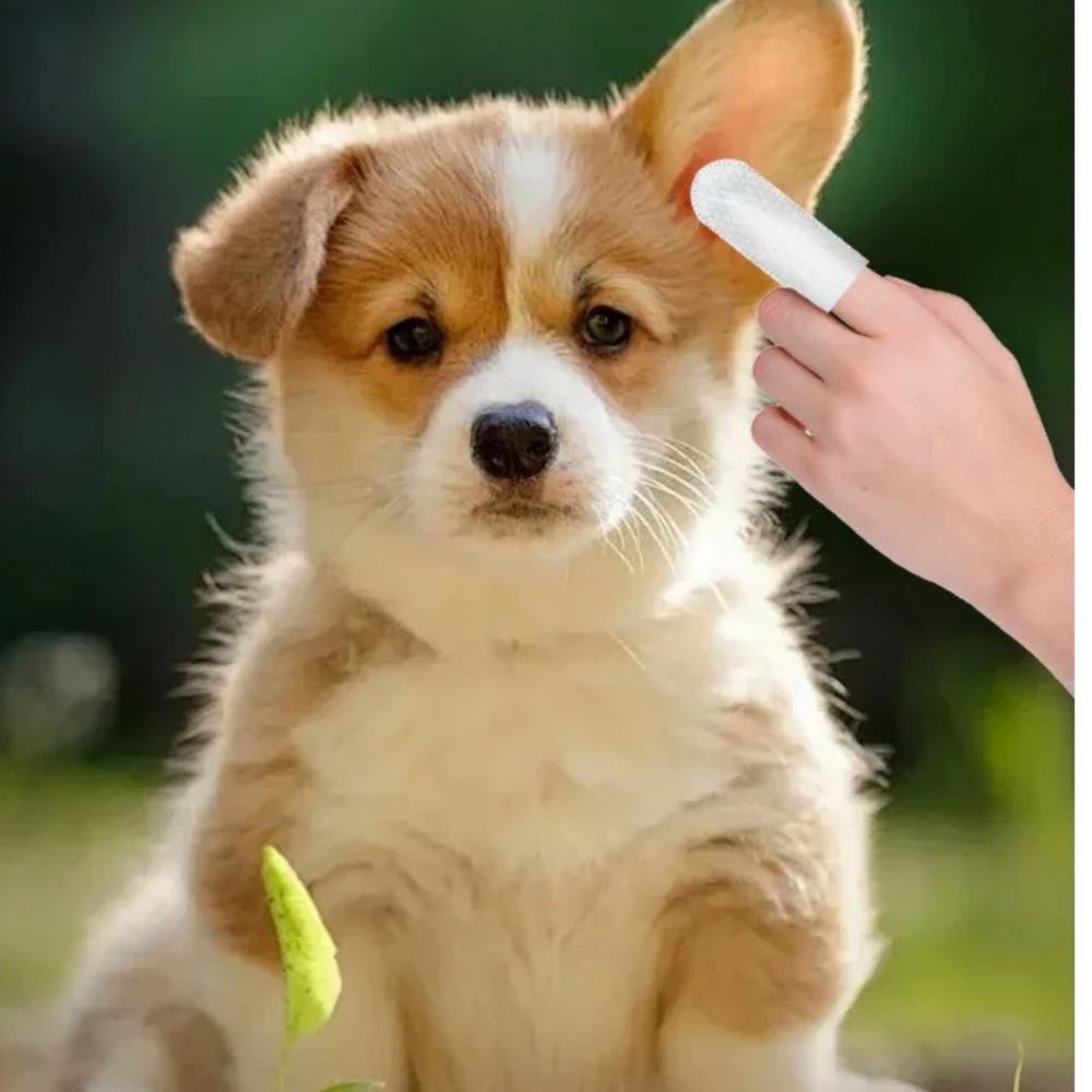 Lingettes Nettoyantes pour Oreilles d'Animaux