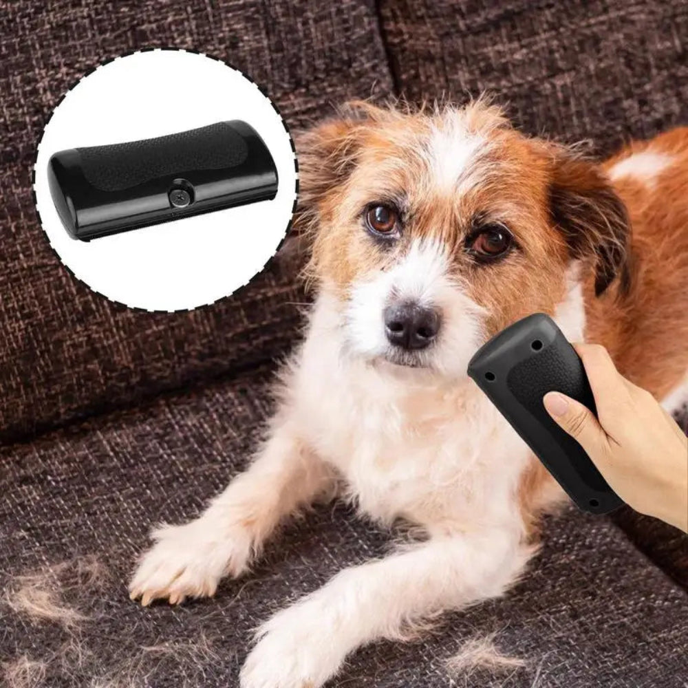 Brosse à épiler pour animaux de compagnie