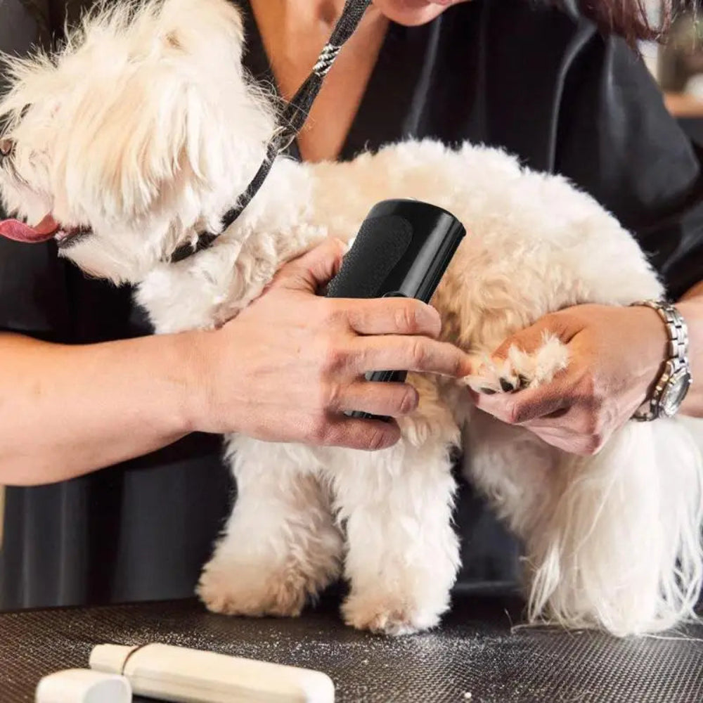 Brosse à épiler pour animaux de compagnie